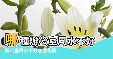 公司風水不好